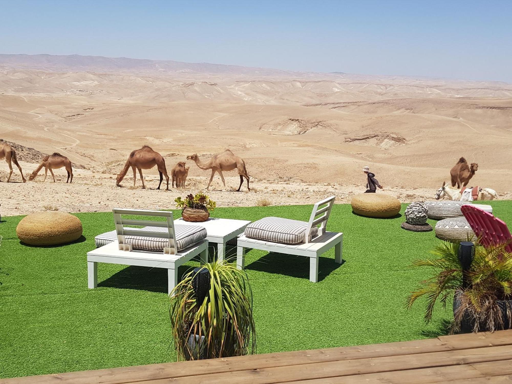 Sun, Mountain & Adventure Hotel Arad Exterior photo