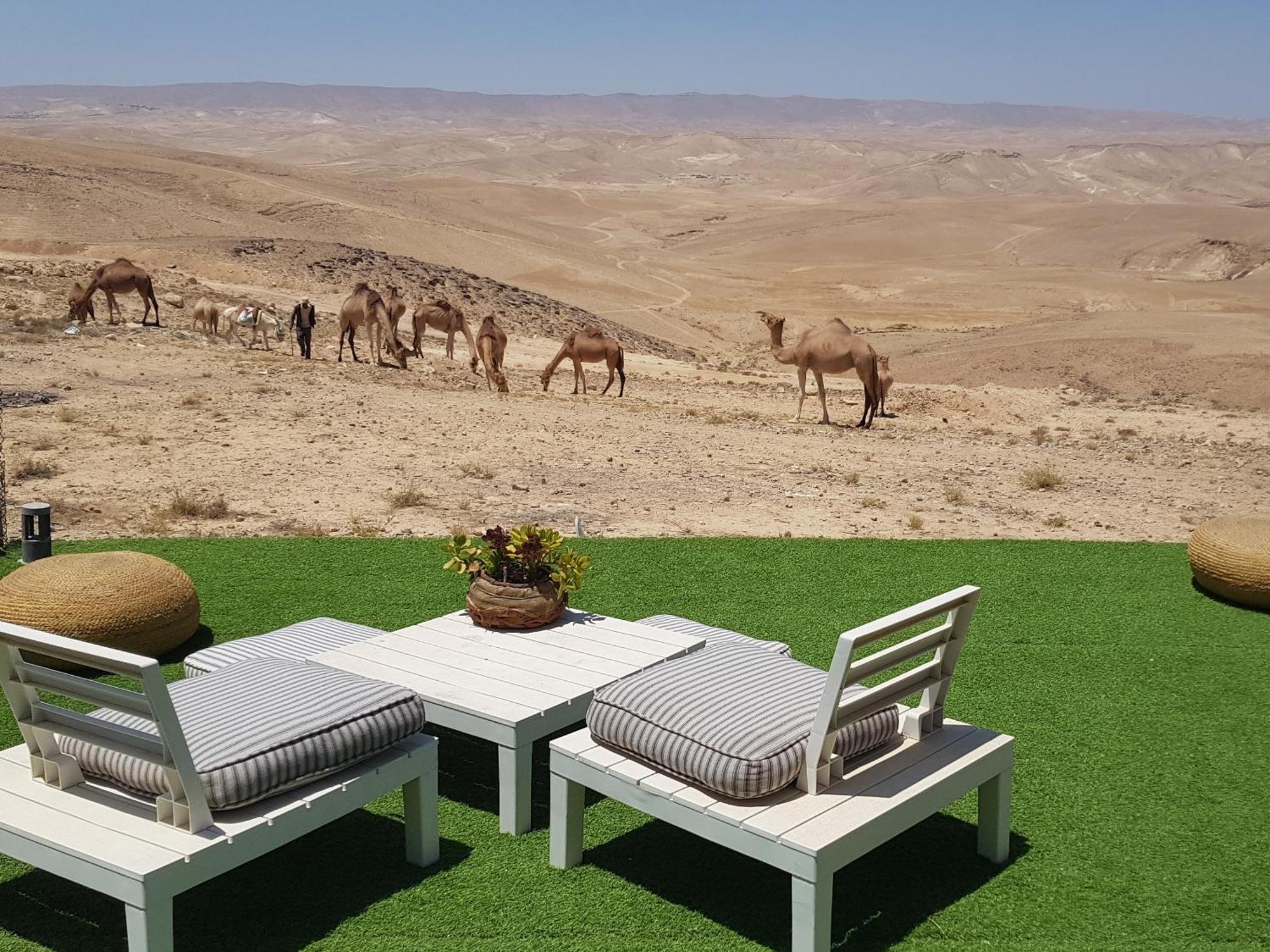 Sun, Mountain & Adventure Hotel Arad Exterior photo
